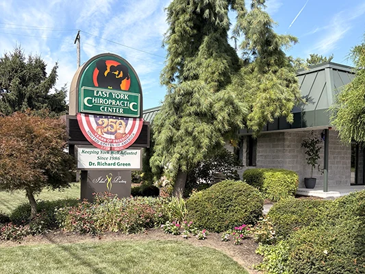 Office Lawn At East York Chiropractic Center